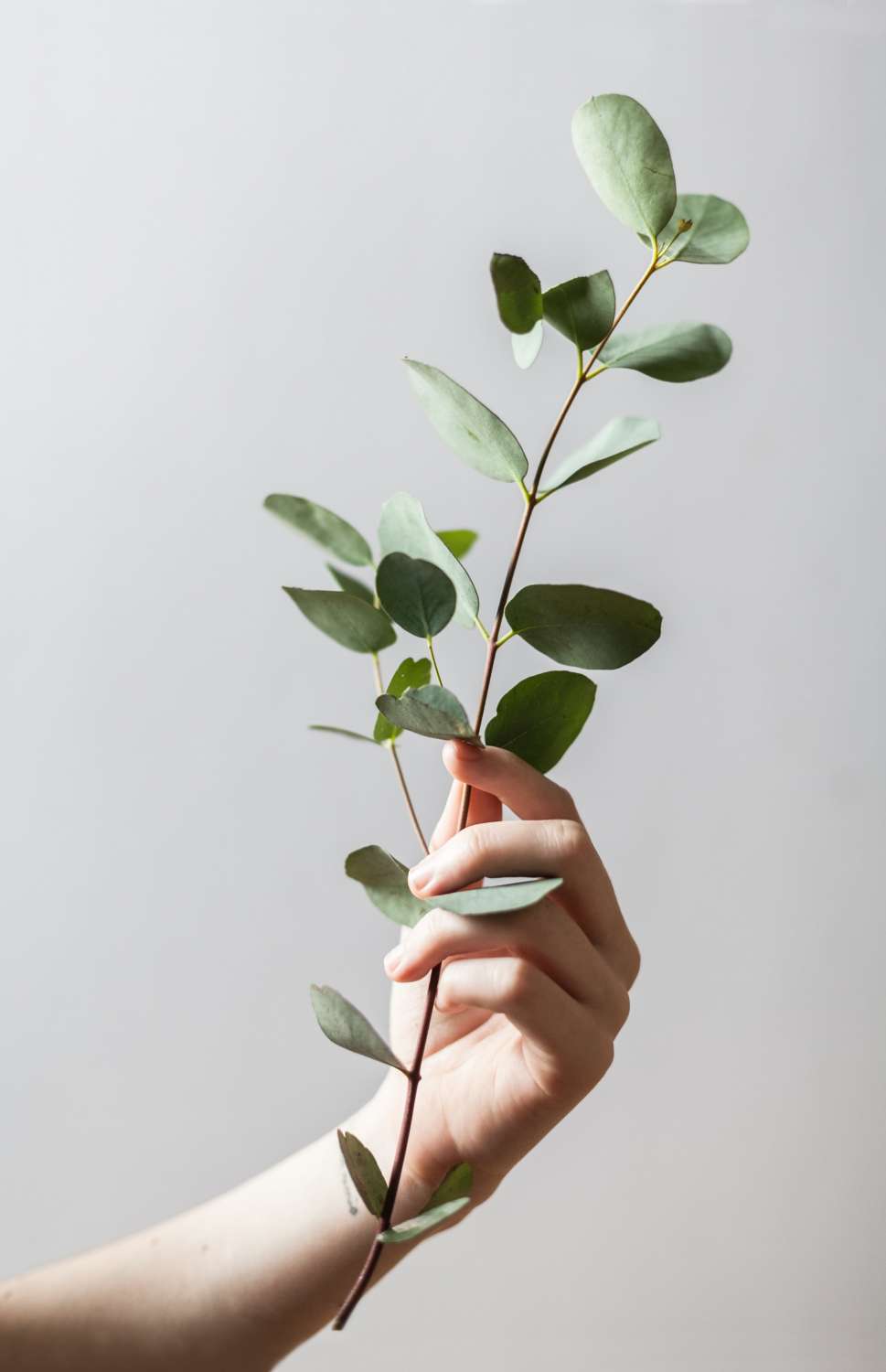 alex-loup-4N5huJDOydQ-unsplash